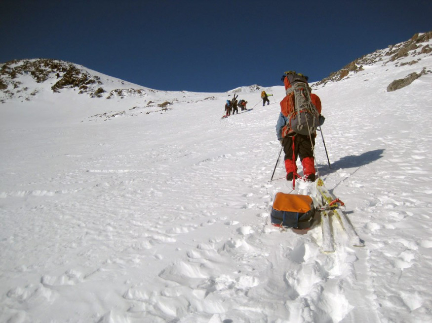 Сани-волокуши Гермо 45 л